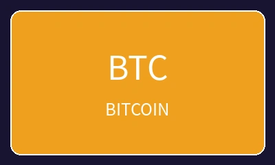 加密货币比特币支付